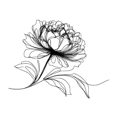 Şakayık çiçekli karalama çizimi