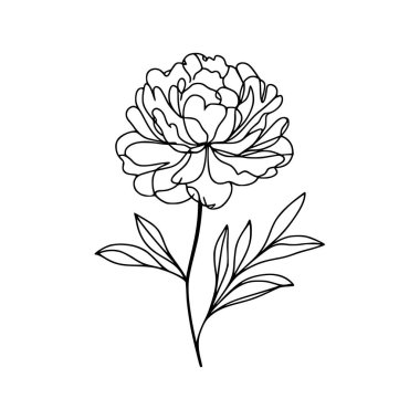 Şakayık çiçekli karalama çizimi