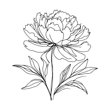 Şakayık çiçekli karalama çizimi