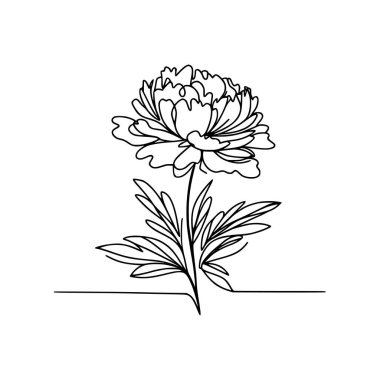 Şakayık çiçekli karalama çizimi