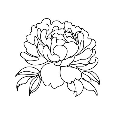 Şakayık çiçekli karalama çizimi