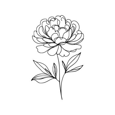 Şakayık çiçekli karalama çizimi