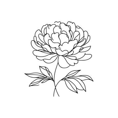 Şakayık çiçekli karalama çizimi