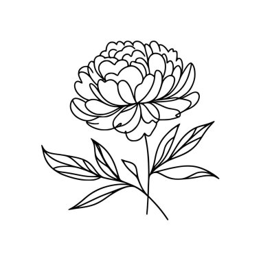 Şakayık çiçekli karalama çizimi