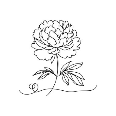 Şakayık çiçekli karalama çizimi