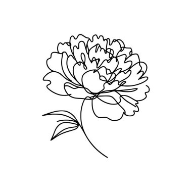 Şakayık çiçekli karalama çizimi