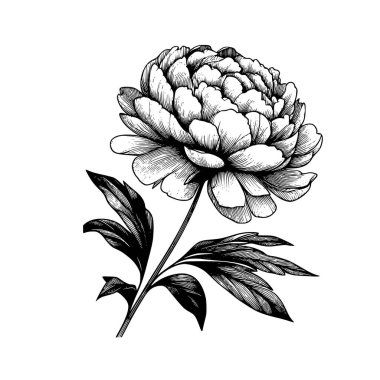 Şakayık çiçekli karalama çizimi