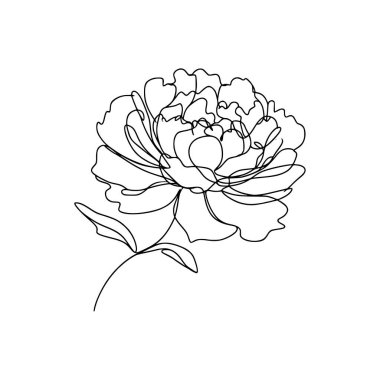 Şakayık çiçekli karalama çizimi