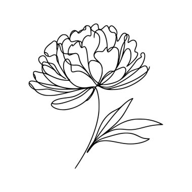 Şakayık çiçekli karalama çizimi