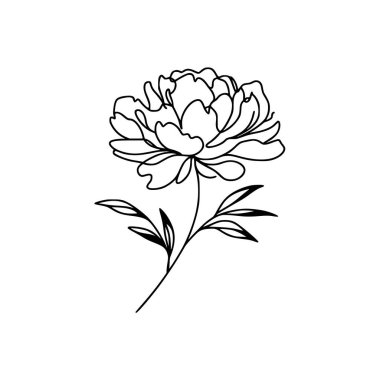 Şakayık çiçekli karalama çizimi