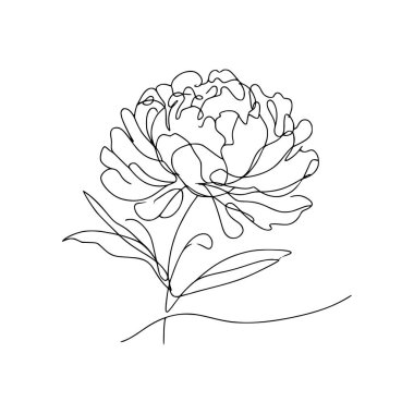 Şakayık çiçekli karalama çizimi