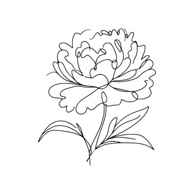 Şakayık çiçekli karalama çizimi