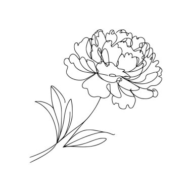 Şakayık çiçekli karalama çizimi