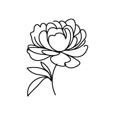 Şakayık çiçekli karalama çizimi