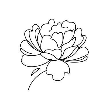 Şakayık çiçekli karalama çizimi