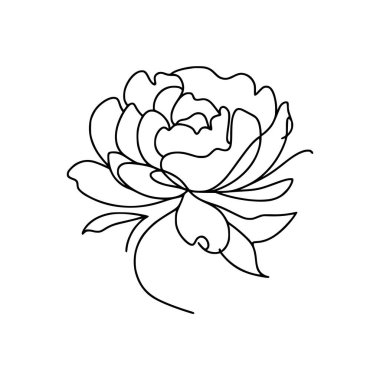 Şakayık çiçekli karalama çizimi