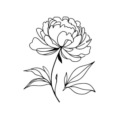 Şakayık çizgisi çizimi. Devamlı çizgi düzenleme.