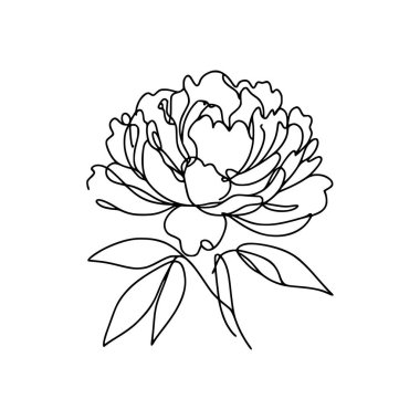 Şakayık çizgisi çizimi. Devamlı çizgi düzenleme.