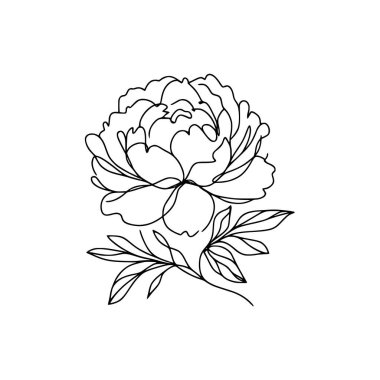 Şakayık çizgisi çizimi. Devamlı çizgi düzenleme.