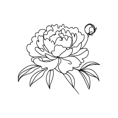 Şakayık çizgisi çizimi. Devamlı çizgi düzenleme.