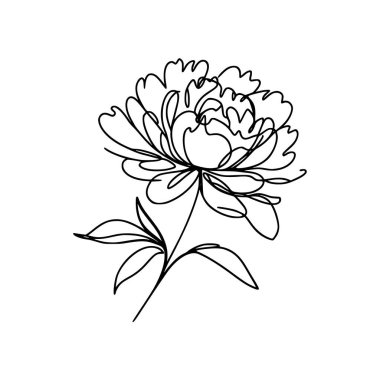 Şakayık çizgisi çizimi. Devamlı çizgi düzenleme.