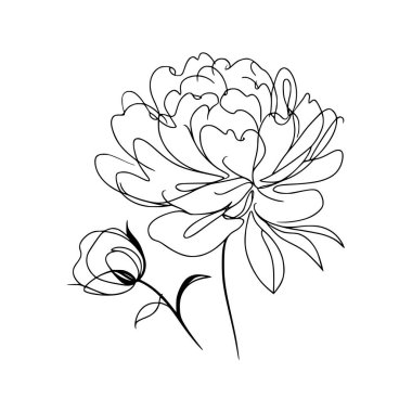 Şakayık çizgisi, ince çizgi, şakayık çiçekli el çizimi.