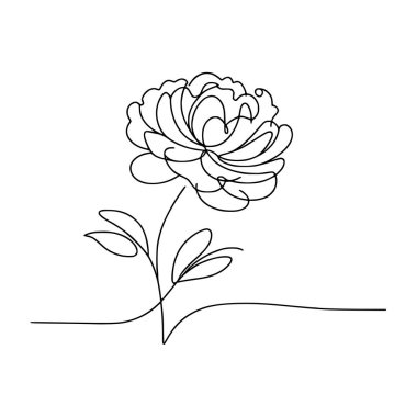 Şakayık çizgisi, ince çizgi, şakayık çiçekli el çizimi.