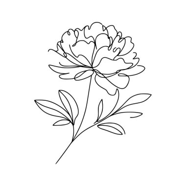 Şakayık çizgisi, ince çizgi, şakayık çiçekli el çizimi.