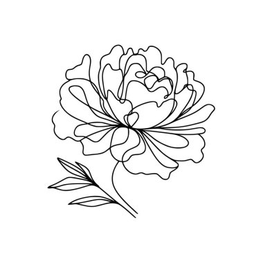 Şakayık çizgisi, ince çizgi, şakayık çiçekli el çizimi.