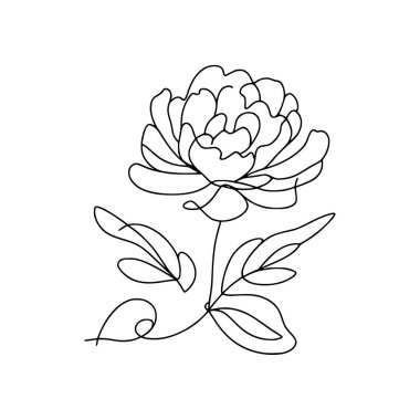 Şakayık çizgisi, ince çizgi, şakayık çiçekli el çizimi.