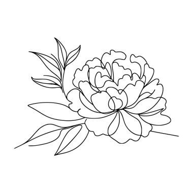 Şakayık çizgisi, ince çizgi, şakayık çiçekli el çizimi.