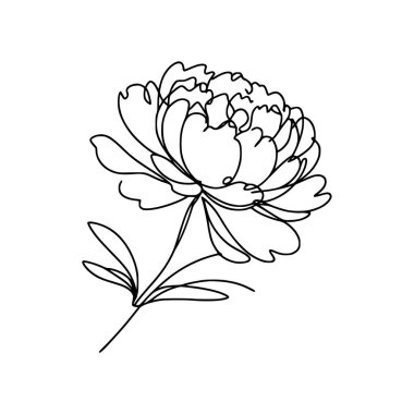 Şakayık çizgisi çizimi. Devamlı çizgi düzenleme.