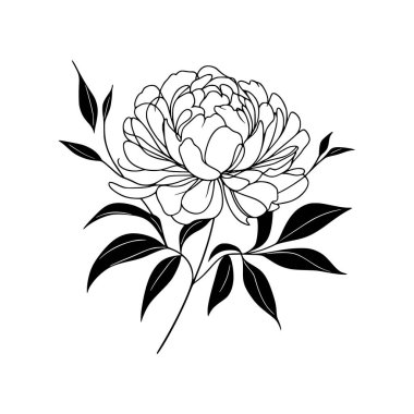 Şakayık çizgisi çizimi. Devamlı çizgi düzenleme.