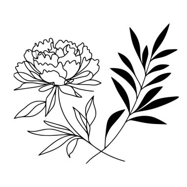 Şakayık çizgisi çizimi. Devamlı çizgi düzenleme.