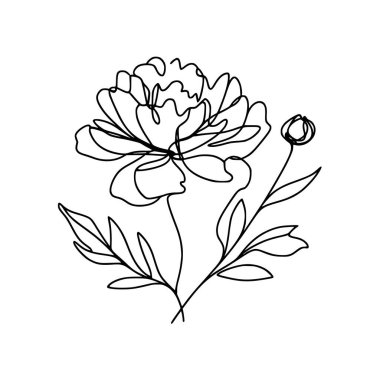 Şakayık çizgisi çizimi. Devamlı çizgi düzenleme.