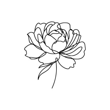 Şakayık çizgisi çizimi. Devamlı çizgi düzenleme.