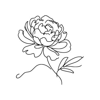 Şakayık çizgisi çizimi. Devamlı çizgi düzenleme.