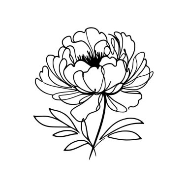 Şakayık Vektör El Çizimi