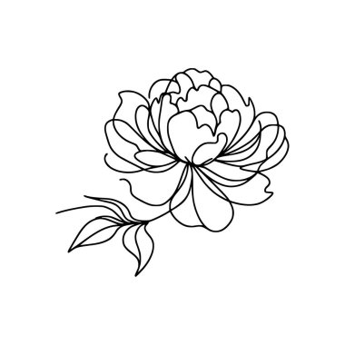 Şakayık Vektör El Çizimi