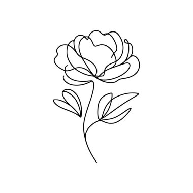 Şakayık Vektör El Çizimi