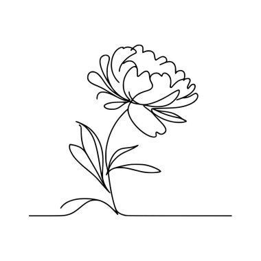 Şakayık Vektör El Çizimi