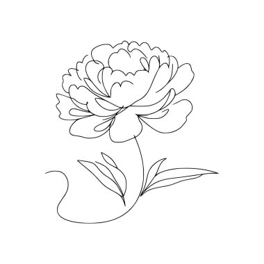 Şakayık Vektör El Çizimi