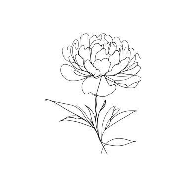 Şakayık Vektör El Çizimi