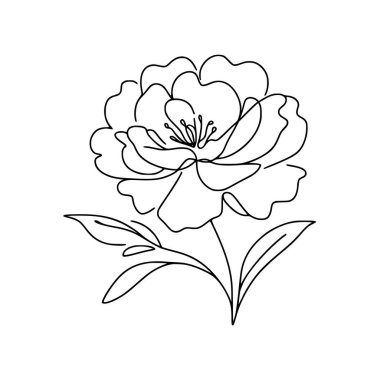 Çiçek aralıksız şakayık çiziyor.