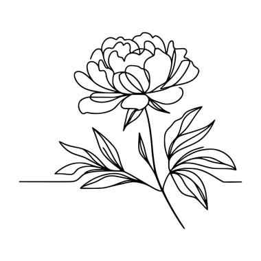 Çiçek aralıksız şakayık çiziyor.