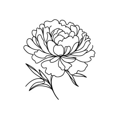 Çiçek aralıksız şakayık çiziyor.