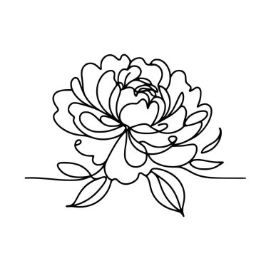 Çiçek aralıksız şakayık çiziyor.