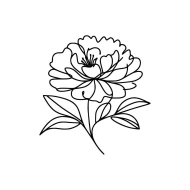 Çiçek aralıksız şakayık çiziyor.