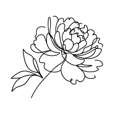 Çiçek aralıksız şakayık çiziyor.