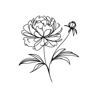 Çiçek çizgisi şakayık